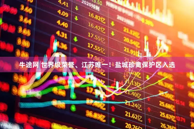 牛途网 世界级荣誉、江苏唯一！盐城珍禽保护区入选