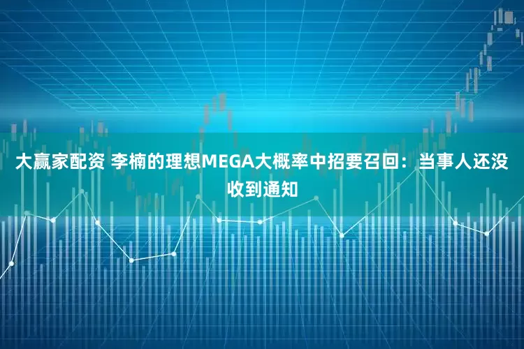 大赢家配资 李楠的理想MEGA大概率中招要召回：当事人还没收到通知
